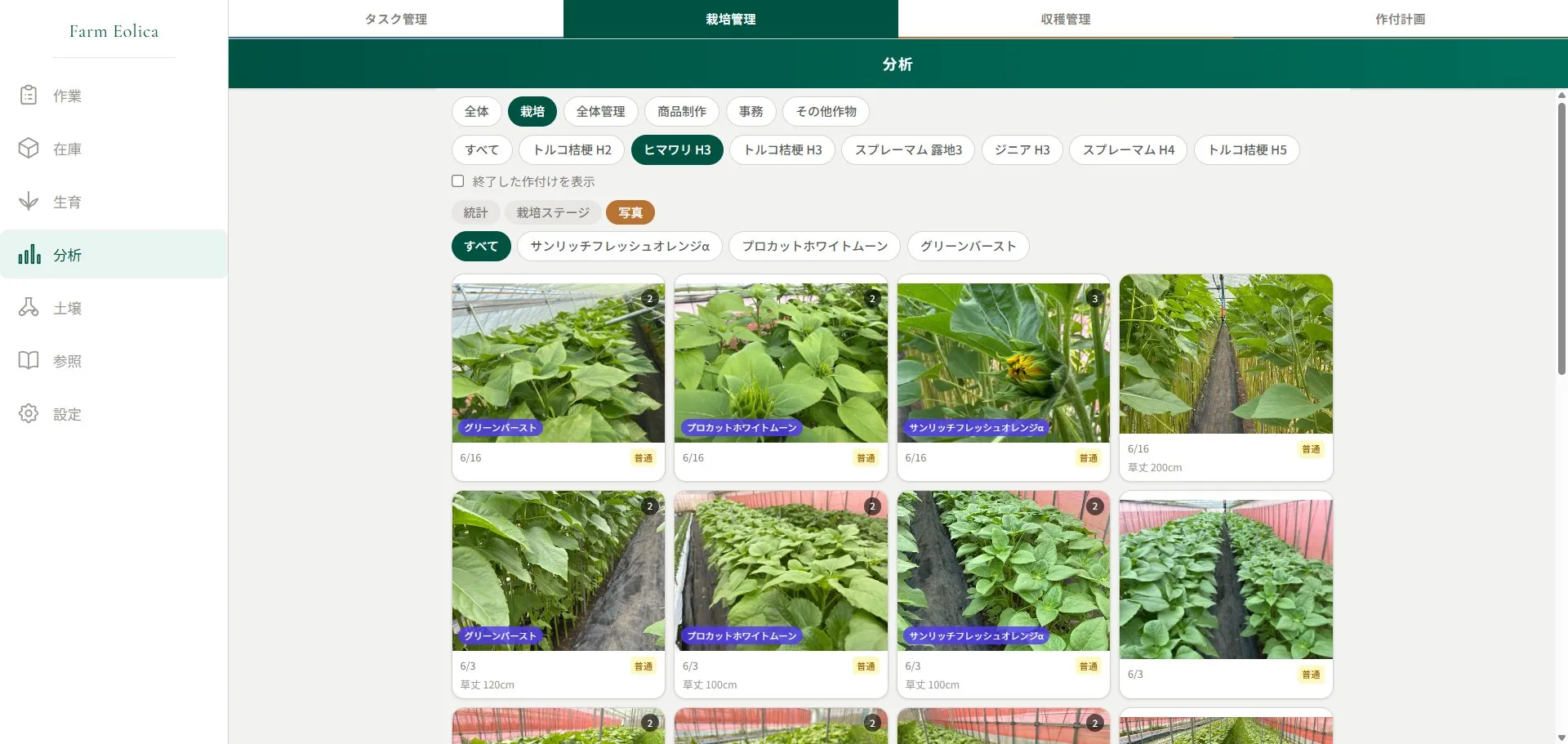 App screenshot — タスク管理