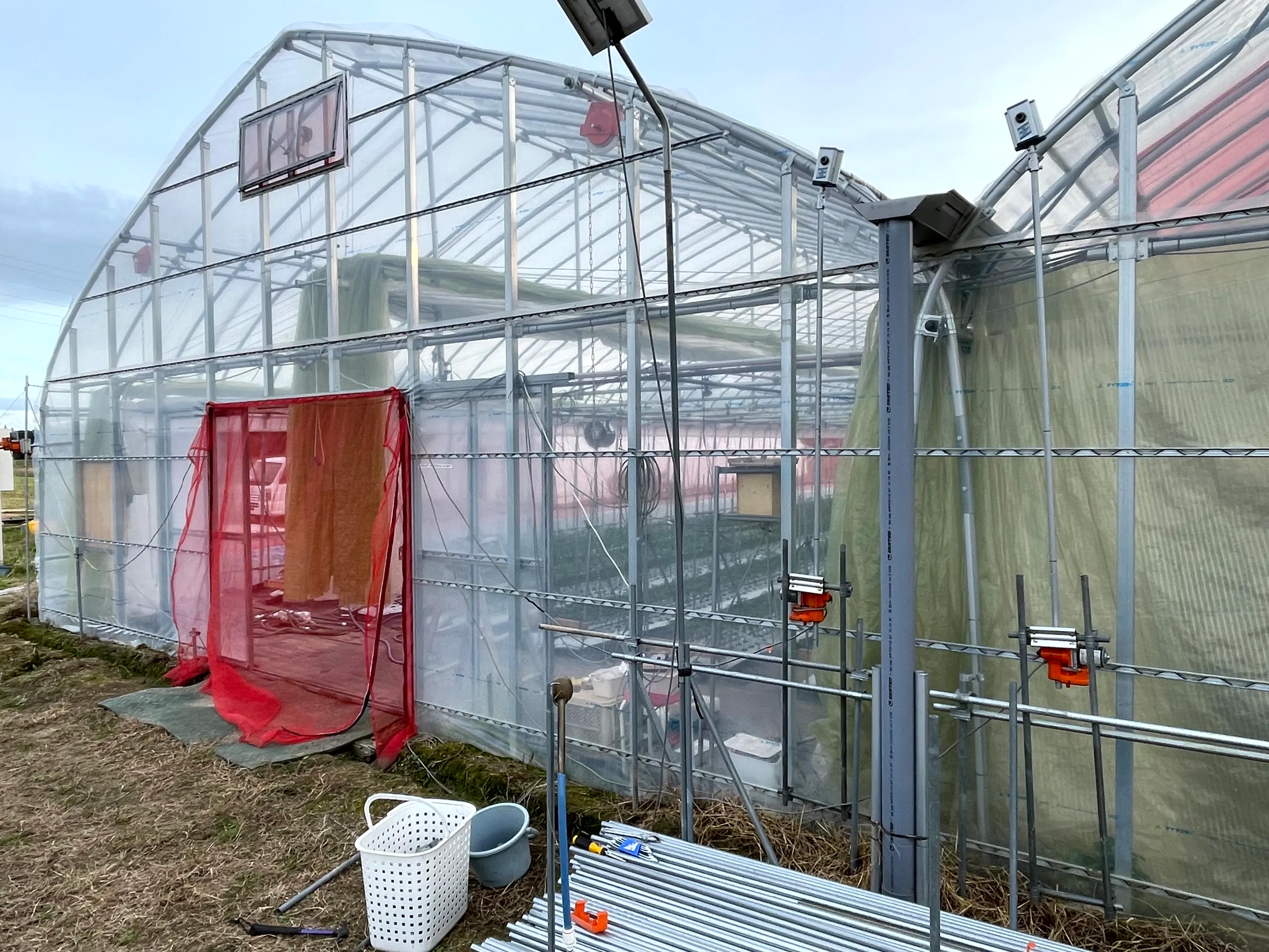 Farm Eolica