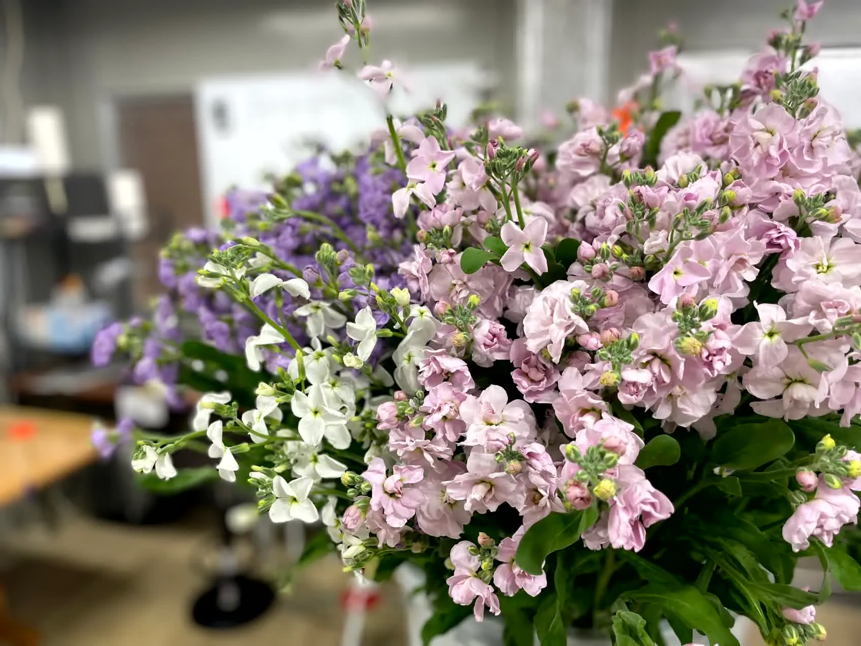 規格外切り花