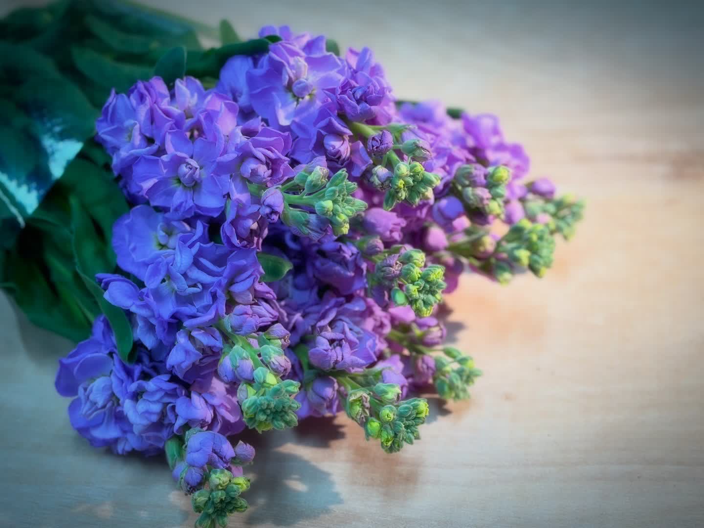 農家通信(風の花だより)